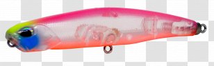 Spoon Lure Fishing Baits & Lures Color Transparent PNG