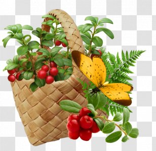 Strawberry Fruit Clip Art Transparent PNG