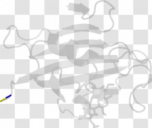 White Clip Art - Area - Design Transparent PNG