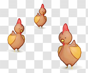 Landfowl Birds Ducks Chicken Poultry Transparent PNG