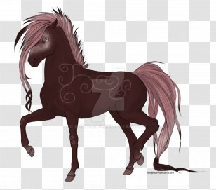 Mustang Stallion Foal Colt Mare - Horse Tack Transparent PNG