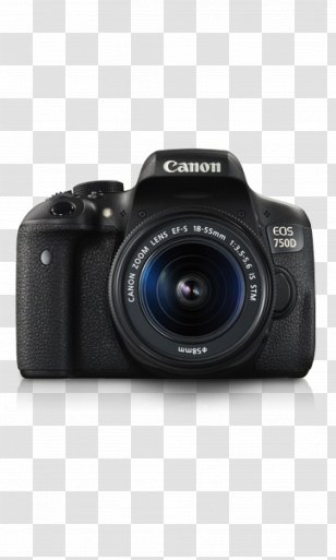 Canon EOS 750D EF-S Lens Mount 18â€“135mm 18â€“55mm Digital SLR - Camera Transparent PNG