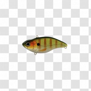 Perch Spoon Lure Plug Bass Worms Bait - Fish Transparent PNG