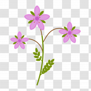 Wildflower - Pink Flowers In Bloom Transparent PNG
